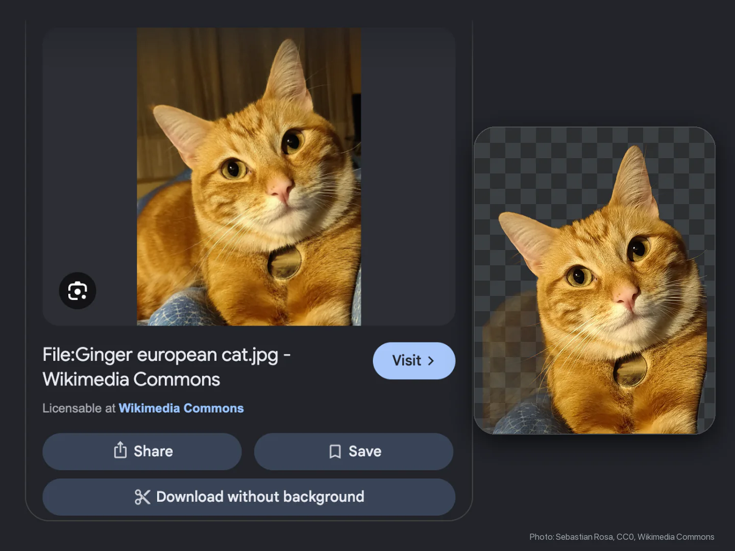 The Google Images viewer with a Download without background button under Share and Save, next to the transparent cut-out of the cat it saved